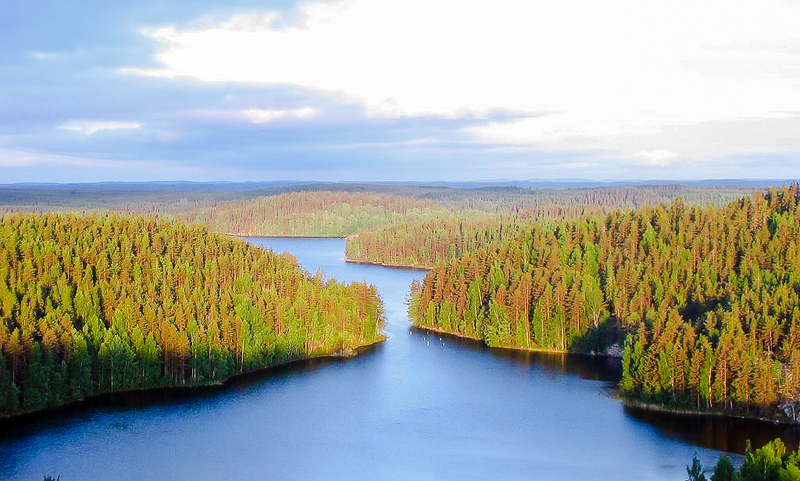 Repovesi, uno de los muchos parques nacionales en Finlandia. Wikimedia Commons